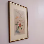 Villa Bougainville